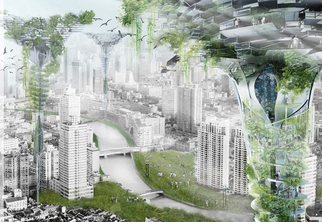 Honorable Mention: Water Rebalance