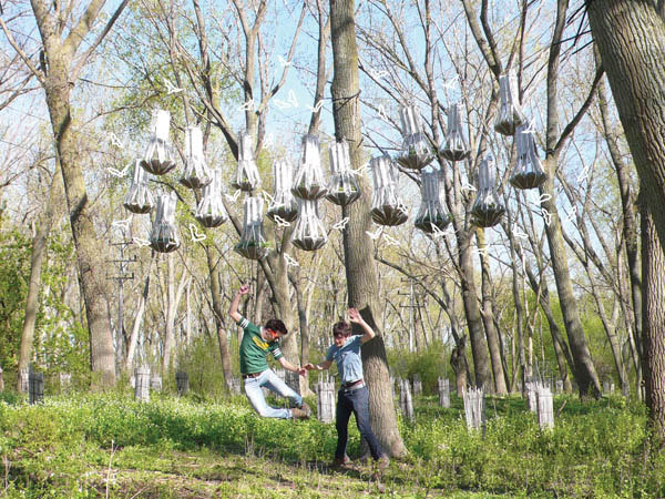 FIRST PLACE: BAT CLOUD, Joyce Hwang