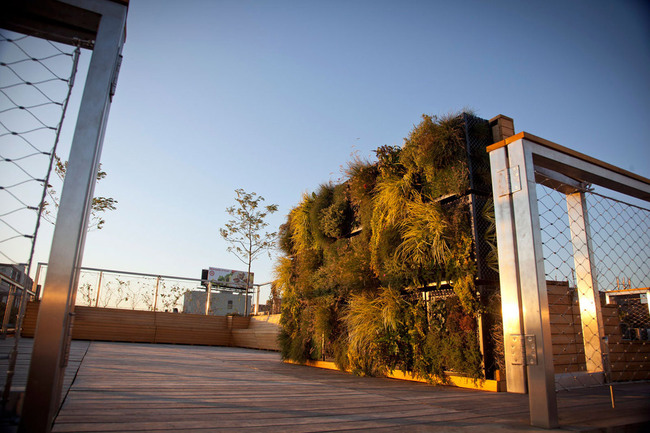 AEA Headquarters in Bronx, NY by Future Green Studio