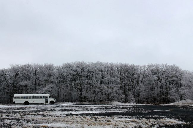 A view from the competition site