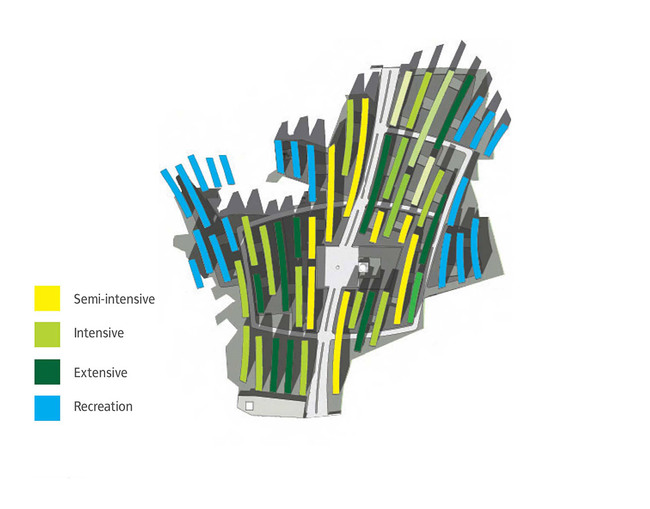 Green roof strategies (Image: JET)