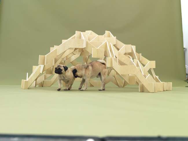 Kengo Kuma