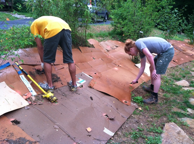 Digging through the cardboard. It rained that morning which helped make the cardboard easier to cut through. 