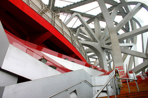 Bird's Nest
