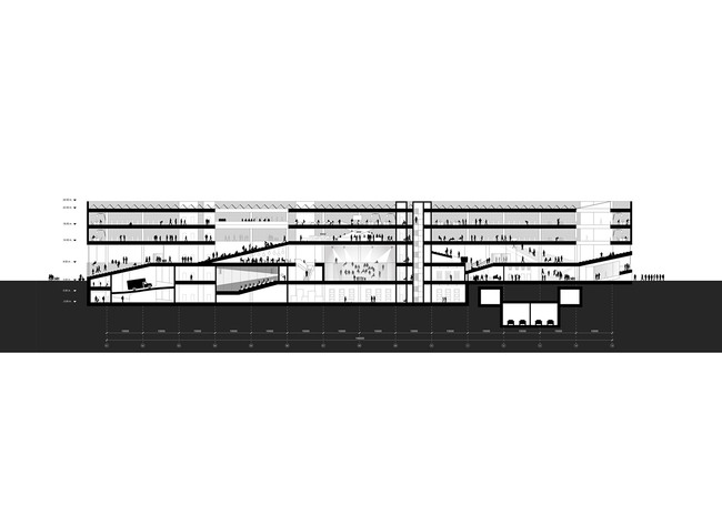 Section AA (Image: OYO + office9 + Ingenium)