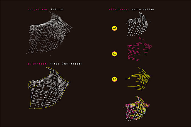 Slipstream: Bamboo Structure (slipstream vectors projected onto surface)