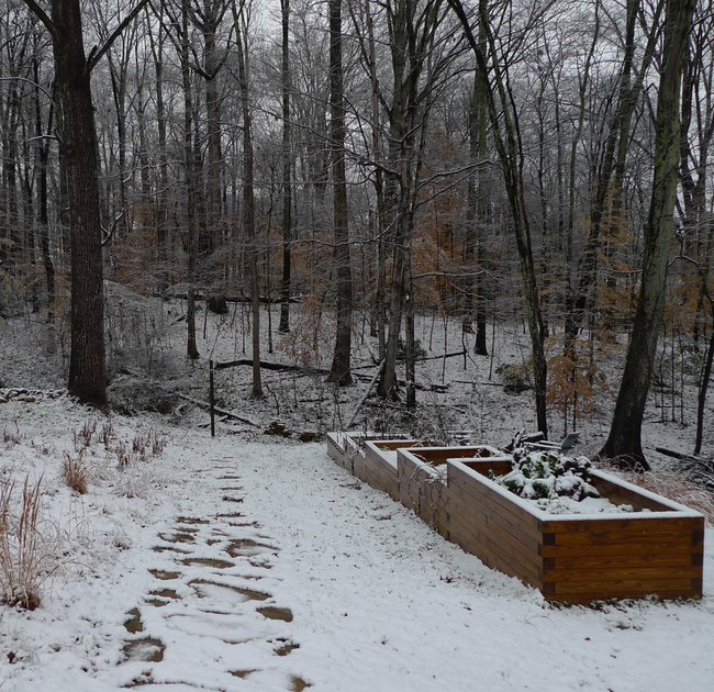 Stone path to the woods