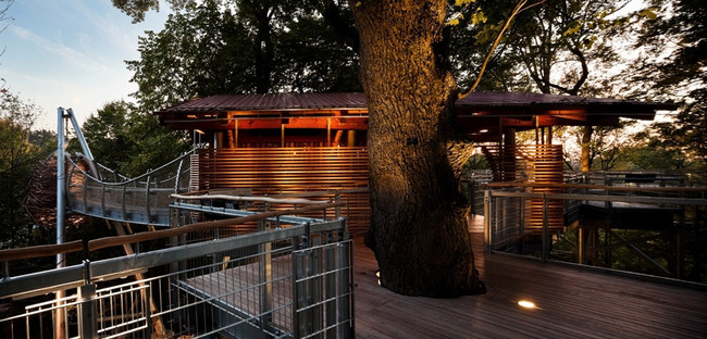 Tree Adventure in Philadelphia, PA by Metcalfe Architecture & Design