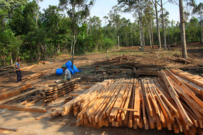On-site prefabrication (Photo: Zifeng Wei)