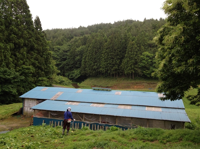 Satoyama Activity Center