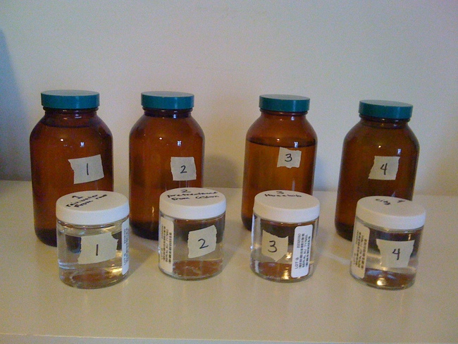 Bottles labeled and ready for delivery to the UT Water Quality lab