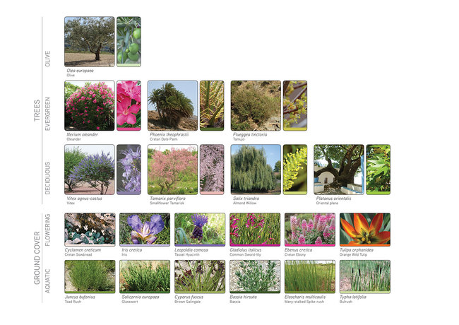 Landscape material diagram (Image: Atelier3AM)