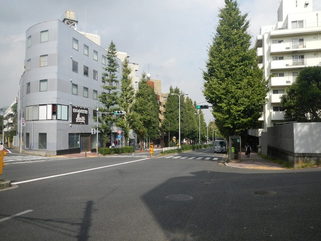 My neighborhood
