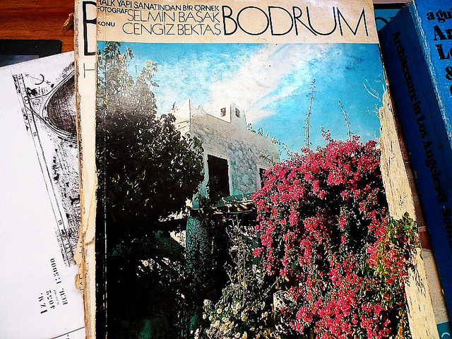 Bodrum- halk yapı sanatından bir örnek a book by Cengiz Bektas and Selmin Basak