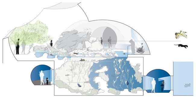 Diagram (Image: HHF and BURCKHARDT+PARTNER)