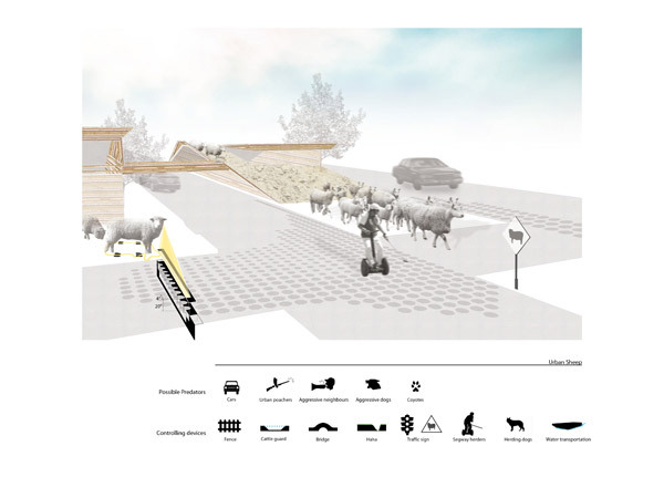 HONORABLE MENTION: URBAN TRANSHUMANCE, KyungJin Hong