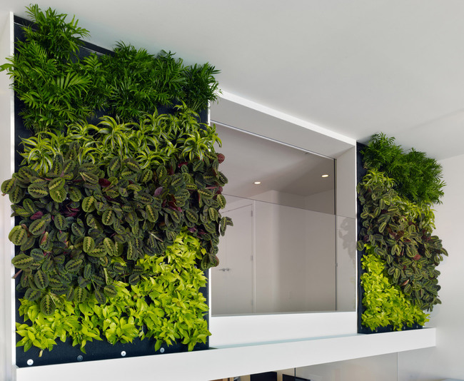 The Offices of Buck O'Neill Builders, Inc in San Francisco, CA by jones | haydu