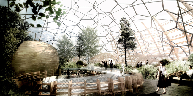 View of winter garden on the roof (Image: Djuric Tardio - Scriptogram.com)
