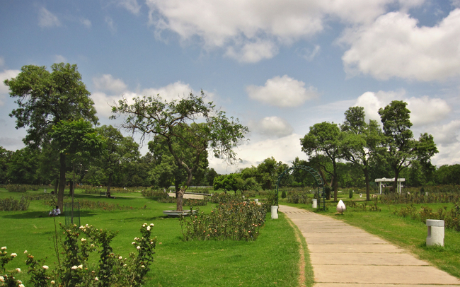 The beautiful, yet underutilized rose garden