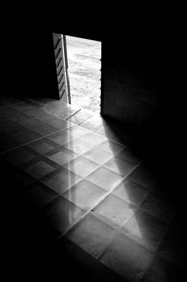 Chamber Door