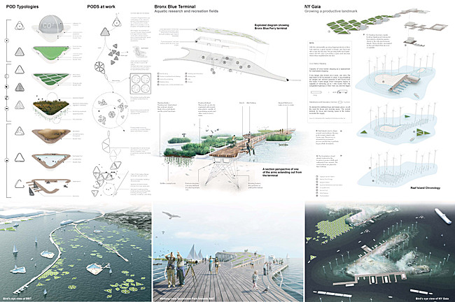 WINNER: NY PARALLEL NETWORKS by Ali Fard and Ghazal Jafari, Canada