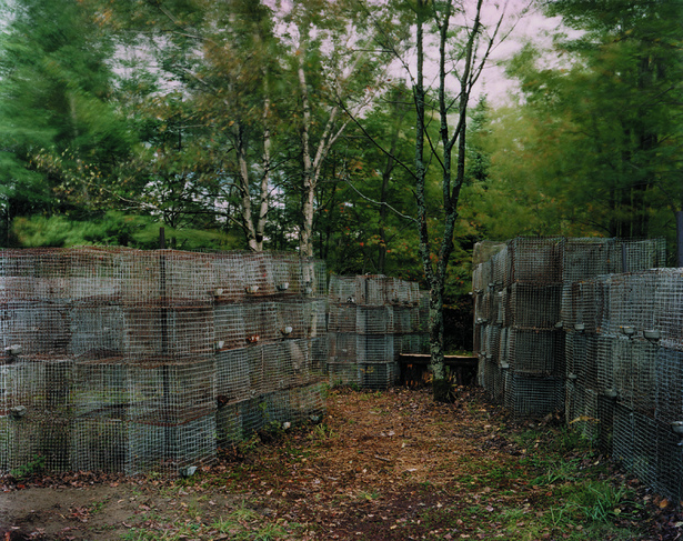 Sweet Farm (1994–1997) by PLANT Architect Inc. 