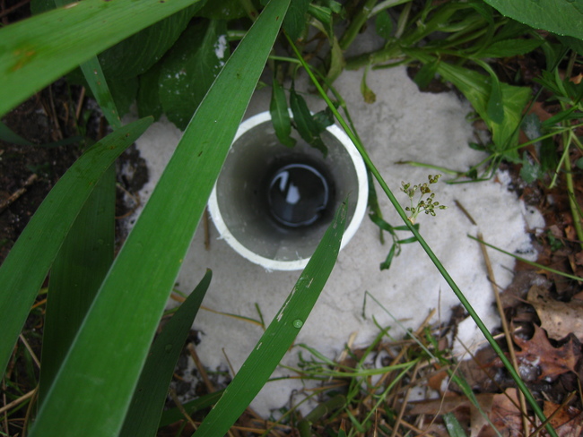 Piezometer installed in greywater bed