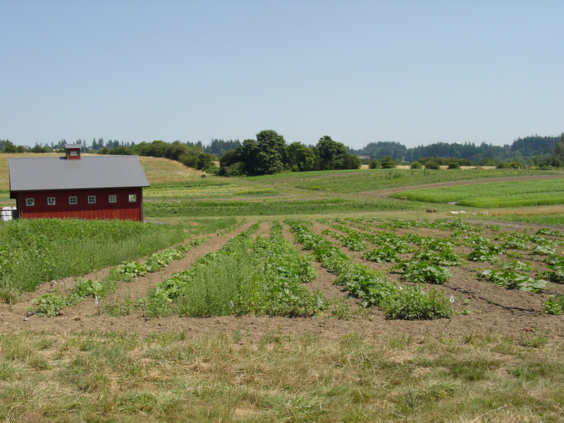 02E_FarmPlus_10.jpg 02E_FarmPlus_10.jpg