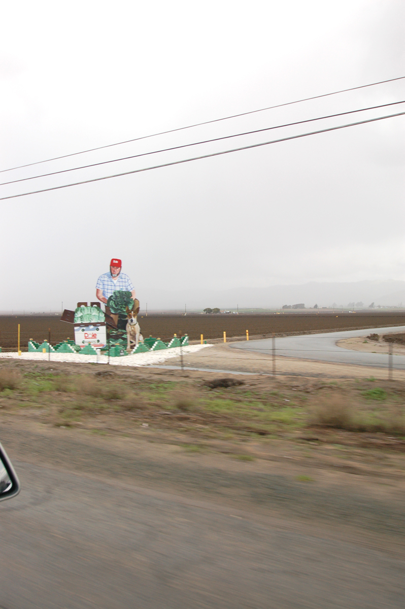 03C_LearningFromSalinas.jpg 03C_LearningFromSalinas.jpg