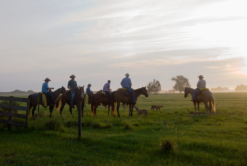 03A_BeyondDisney_Cowboy-Sunrise.jpg 03A_BeyondDisney_Cowboy-Sunrise.jpg