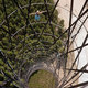 skywalking via PetaPixel