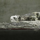 Finalist: Tyler Bornstein, UNIVERSITY OF APPLIED ARTS VIENNA (STUDENT DIGITAL/MIXED)