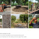 Holcim Gold Award: Locally-manufactured cob and bamboo school building, Jar Maulwi, Pakistan: Ongoing construction works of cob walls: March 2011.