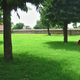 The lush retreat encompassing Adalaj Vav