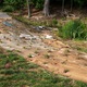 Swale in May, just after plugging with grasses...