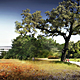 Copyright: Foster + Partners; Apple Inc.