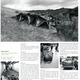pilcrow002a