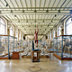 Richard Barnes, Flayed Man, Museum of Comparative Anatomy, Paris, 2005