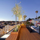 Eels Nest in Echo Park, Los Angeles, CA by Anonymous Architects