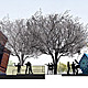 DD-section (Image: AGER Group)