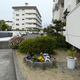 This circular planter in front of an apartment complex is constructed of traditional Japanese roofing tiles. | Chris Berthelsen