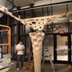 Installation
