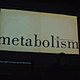 snapshot from Metabolism lecture via Zhao