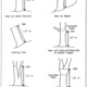 how to measure tree diameters via Barry Lehrman