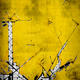 First Place | Adam Longenbach