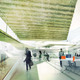 Second Prize: TERRA FirmA