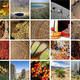 References (Image: LAVA)