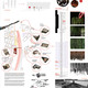 First Mention - Seville: Paolo Russo, Ana Puerto Cuadra, Berto Manuel López Martínez (Italy)