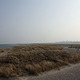 Beach in Copenhagen