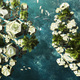 Honorable Mention: 7th Continent
